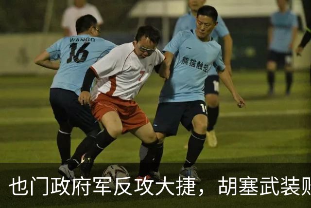 也门政府军反攻大捷，胡塞武装败走