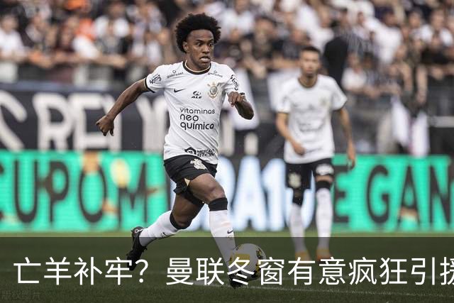 亡羊补牢？曼联冬窗有意疯狂引援，已瞄准两大目标
