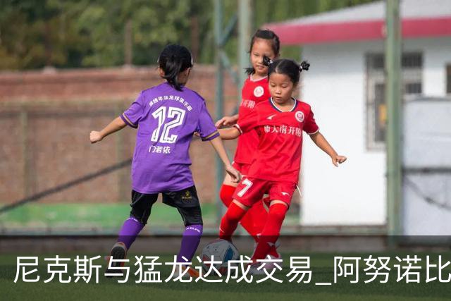 尼克斯与猛龙达成交易 阿努诺比与巴雷特互换