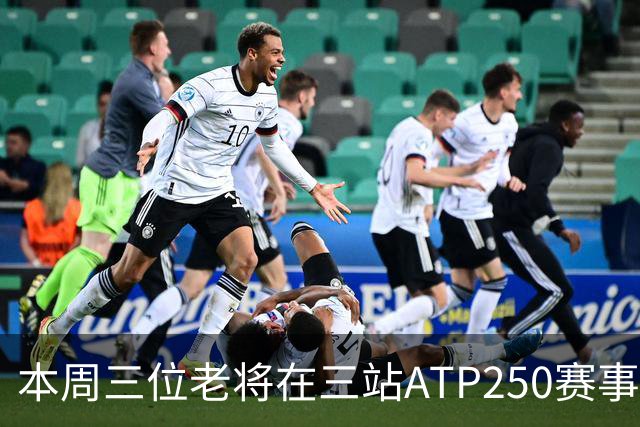 本周三位老将在三站ATP250赛事走完网球征途