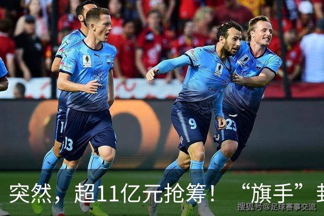 突然，超11亿元抢筹！“旗手”封死涨停，发生了什么？