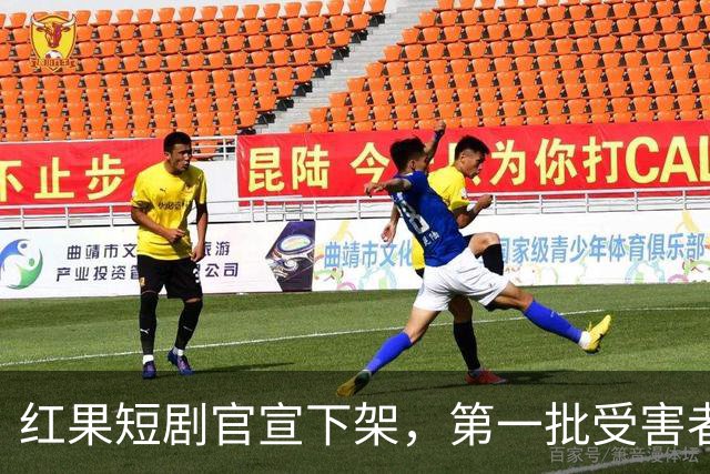红果短剧官宣下架，第一批受害者天塌了！